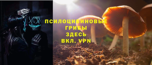 каннабис Новодвинск