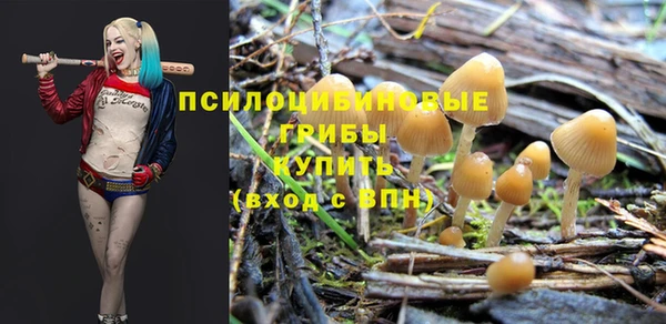 jwh Новозыбков