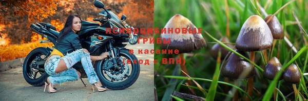каннабис Новодвинск