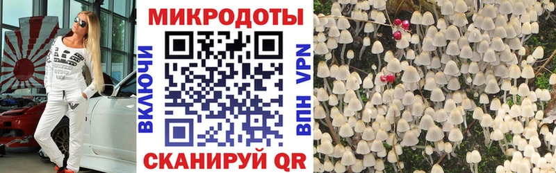 Псилоцибиновые грибы прущие грибы  купить  сайты  Шиханы 